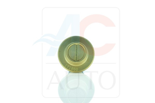 AC-02VI03-AM Control Valve