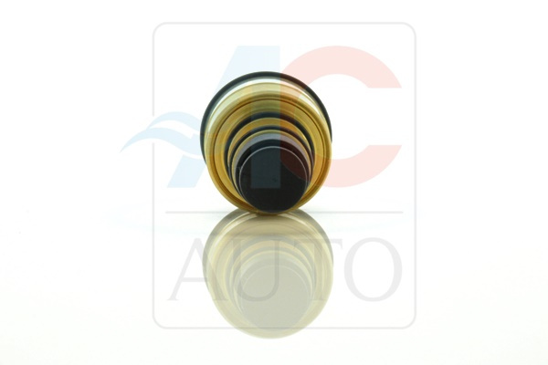 AC-02DN10-AM Zawór Sterujący