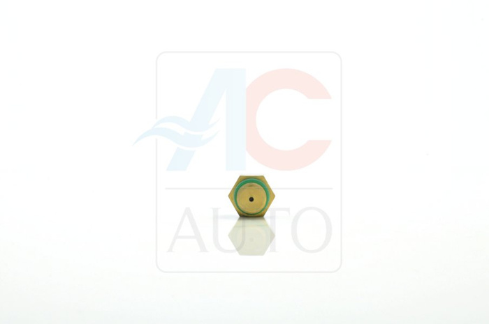 AC-02DL11-AM HPRV safety valve