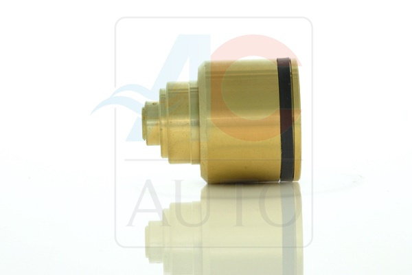 AC-02SC01-AM Control Valve