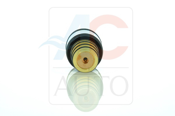 AC-02DN04-AM Control Valve
