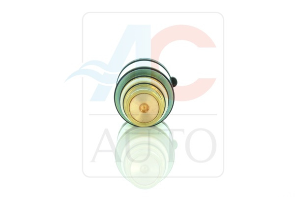 AC-02SD09-AM Control Valve