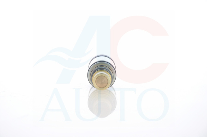 AC-02SD20-AM Control Valve