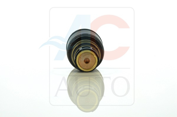 AC-02DN17-AM Control Valve