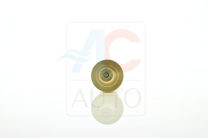 AC-02SD13-AM Control Valve