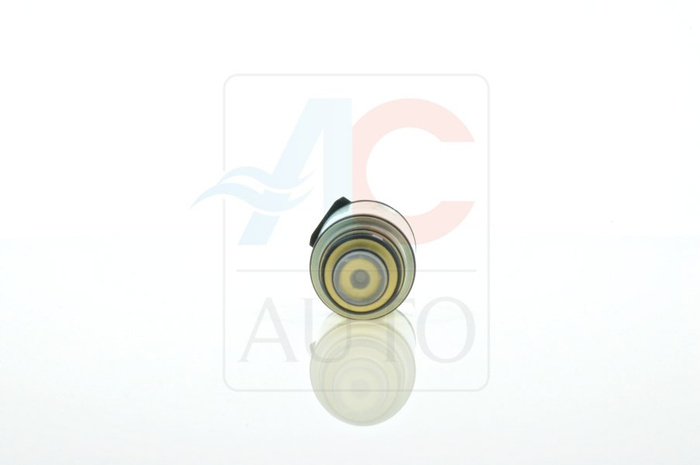 AC-02ZX07-AM Control Valve