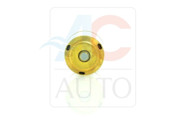 AC-02ZX03-AM Control Valve