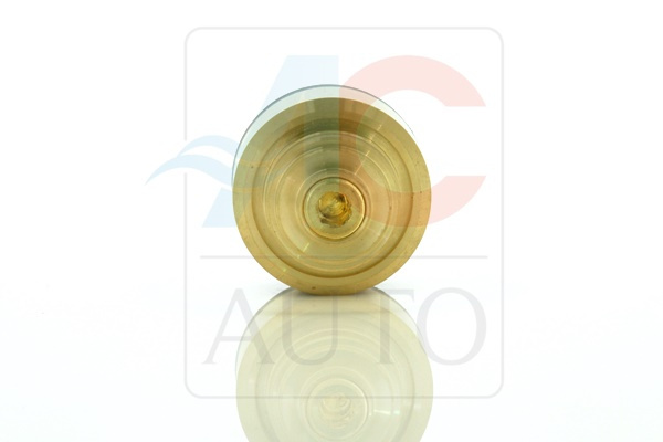 AC-02SC01-AM Control Valve