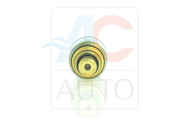 AC-02ZX02-AM Control Valve
