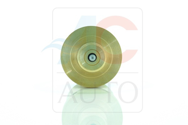 AC-02SD01-AM Control Valve