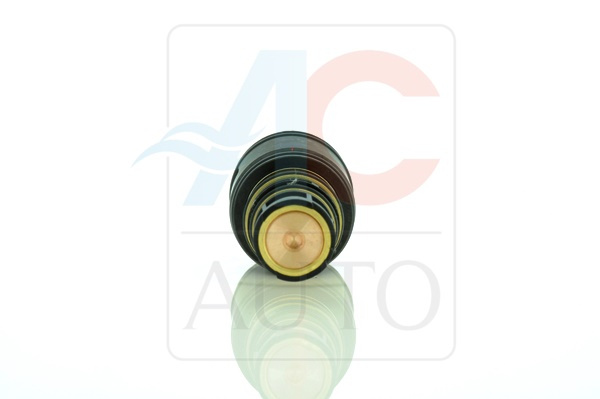 AC-02DN13-AM Control Valve