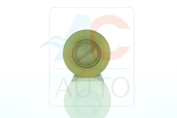 AC-02DN21-AM Control Valve