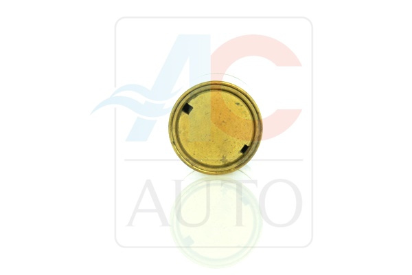 AC-02ZX03-AM Control Valve