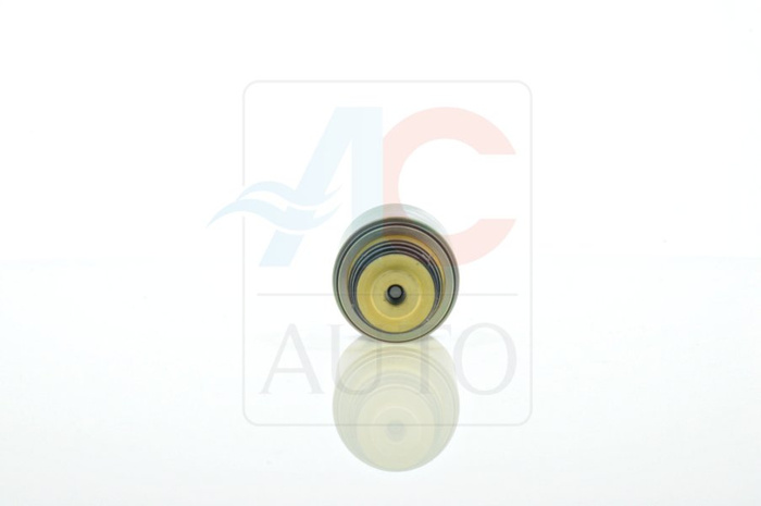 AC-02DL04-AM Control Valve
