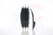 AC-06ZX59-AM Clutch kit