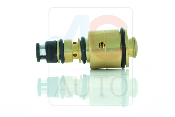 AC-02DN11-AM Control Valve