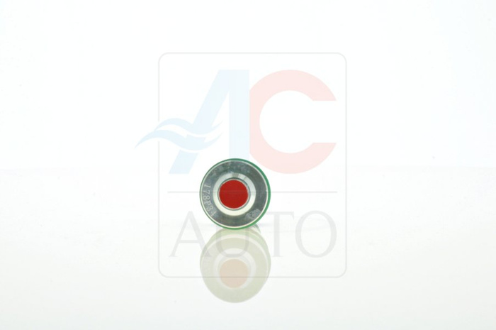 AC-02DL02.R-AM Control Valve