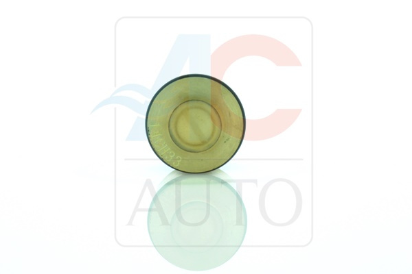 AC-02DN11-AM Control Valve