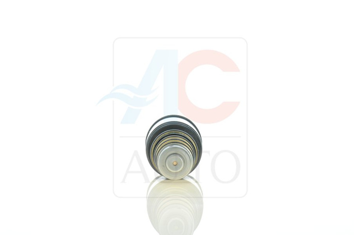AC-02DN30-AM Control Valve