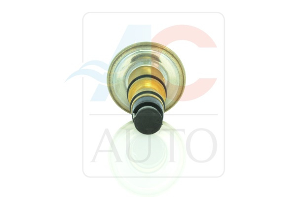 AC-02VI01-AM Zawór Sterujący