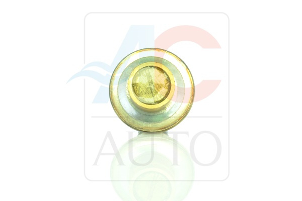 AC-02VI01-AM Zawór Sterujący